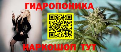 ГАЛЛЮЦИНОГЕННЫЕ ГРИБЫ Лесосибирск