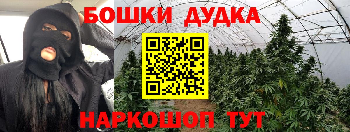 Марихуана план  Вход с VPN  Каннабис LSD WEED  Губаха  МАРИХУАНА White Widow 